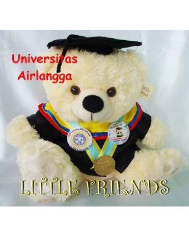 Boneka Wisuda Universitas Airlangga - S2 - Sains (30 cm)